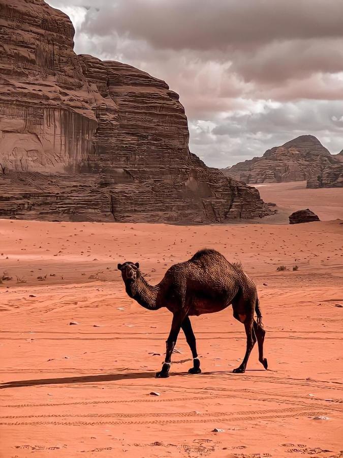 Rum Paradise Luxuri Camp Wadi Rum Exterior foto